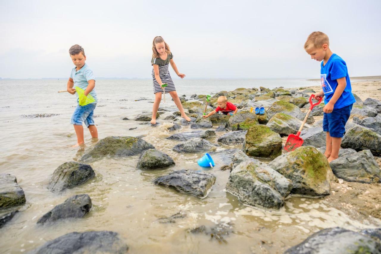 Camping Scheldeoord Baarland ภายนอก รูปภาพ