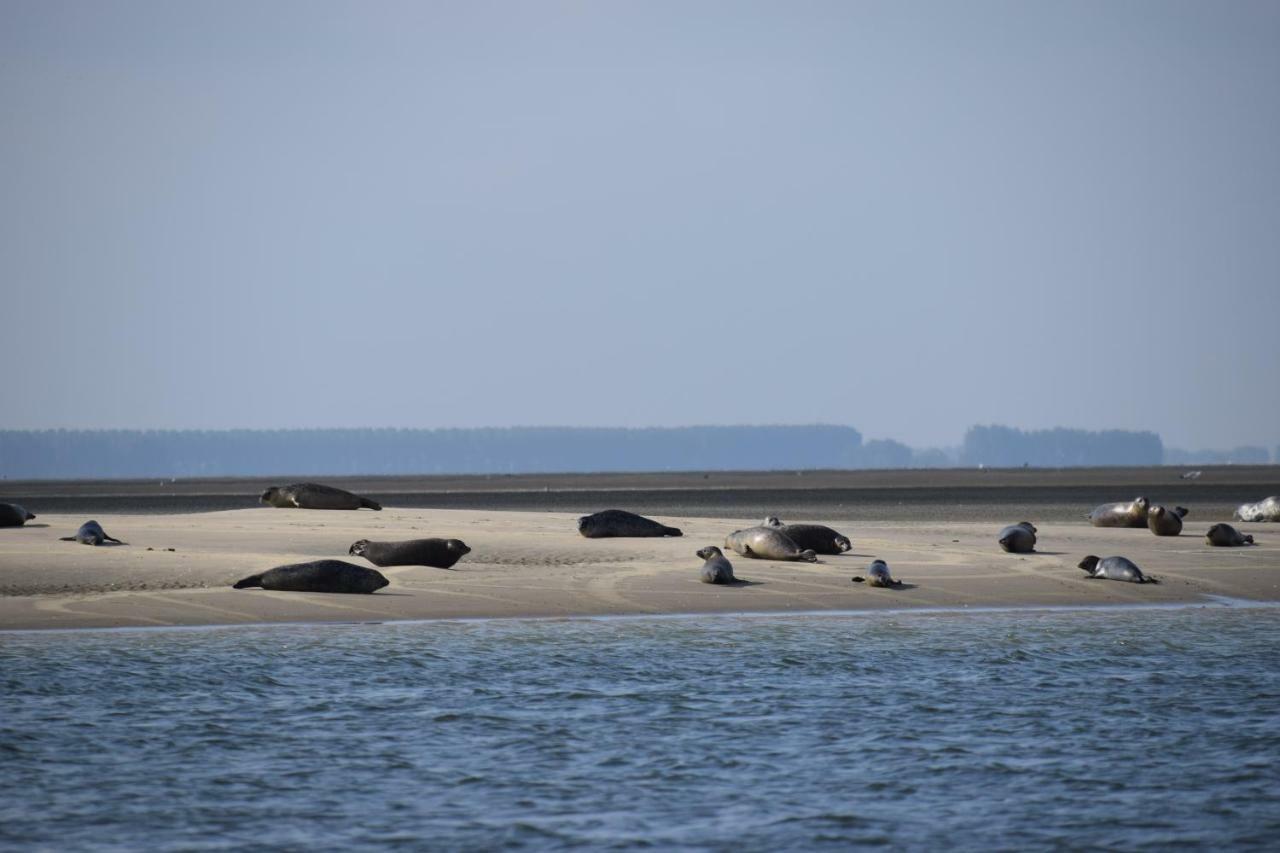 Camping Scheldeoord Baarland ภายนอก รูปภาพ