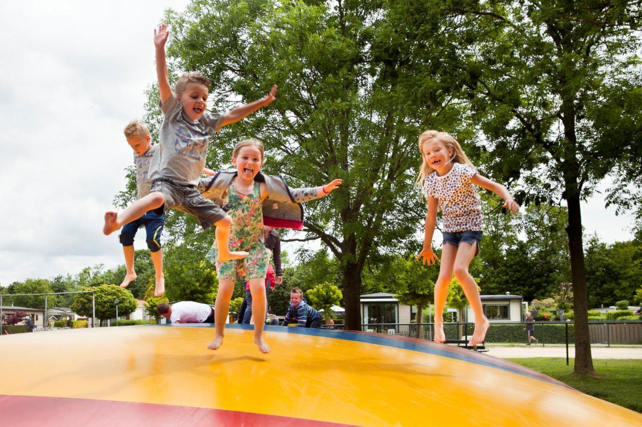 Camping Scheldeoord Baarland ภายนอก รูปภาพ